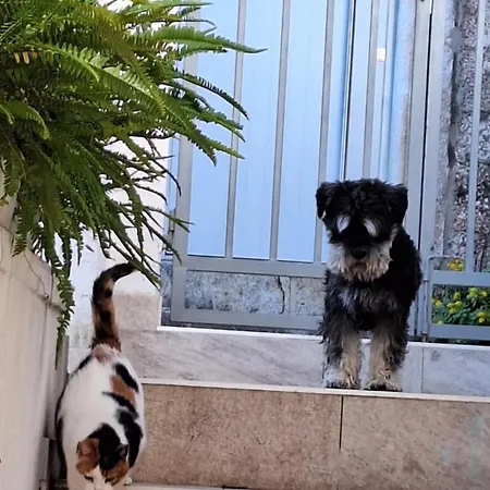 Old Town Hvar & Hvar Town