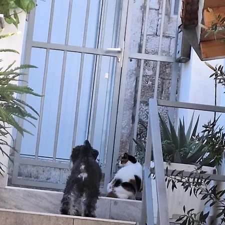 Old Town Hvar & 2* Hvar Town